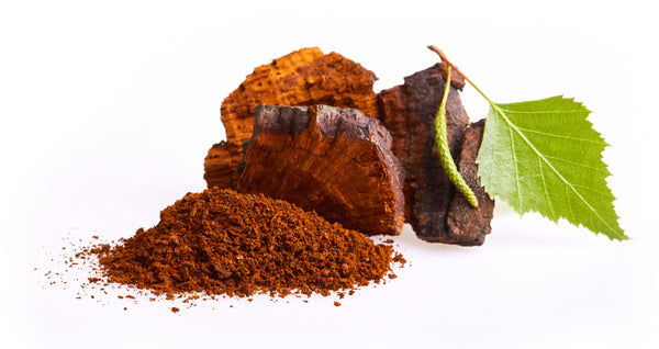 WHAT IS CHAGA?