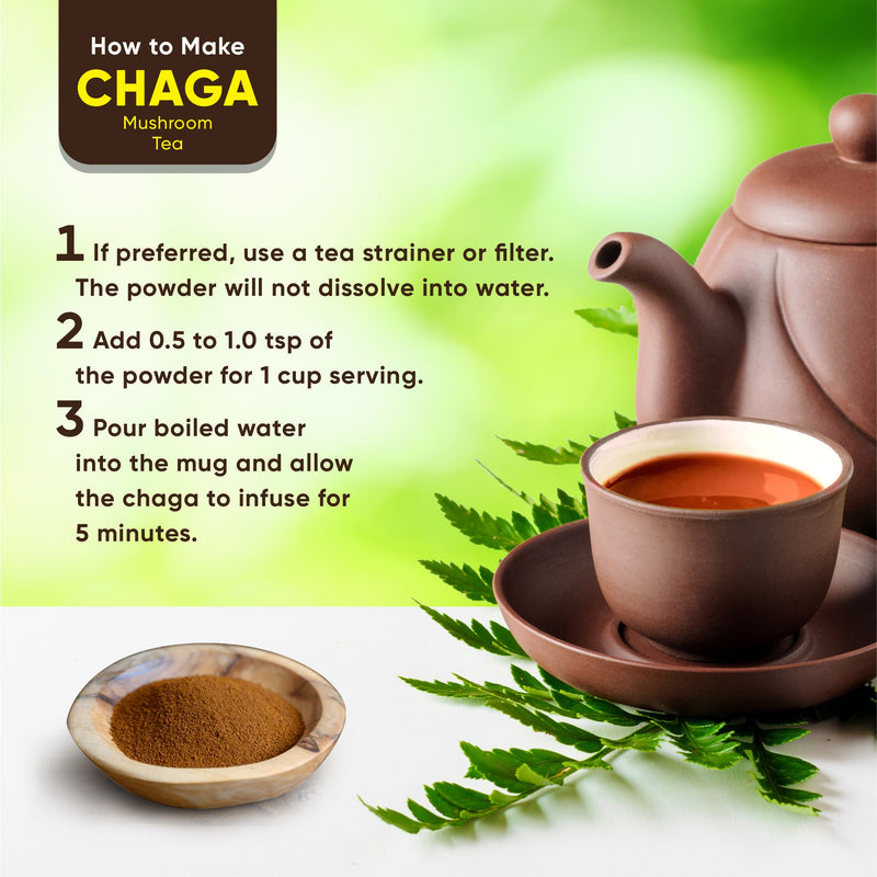 Chaga Extract 100% Natural (4 oz) | Antioxidant, Immune System Support, Anti-Aging