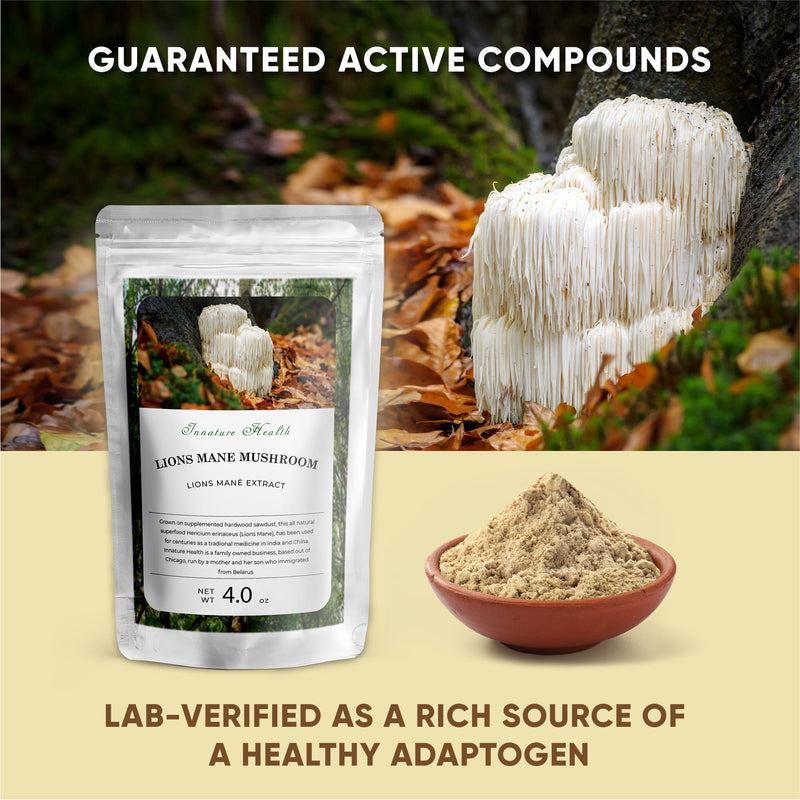 Lions Mane Extract Powder (4 oz) – Immune Support – Strengthens Focus, Memory, Mental Clarity